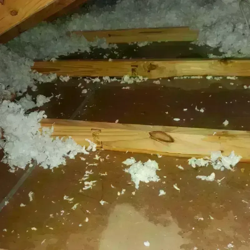 Attic Water Damage in Deltana, AK