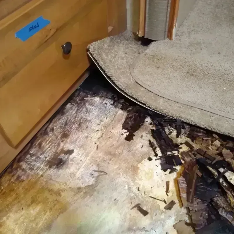 Wood Floor Water Damage in Deltana, AK